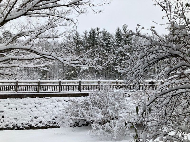 A Classic Kentucky State Park Feel