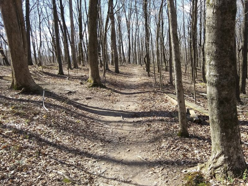 That Hidden Gem Feeling