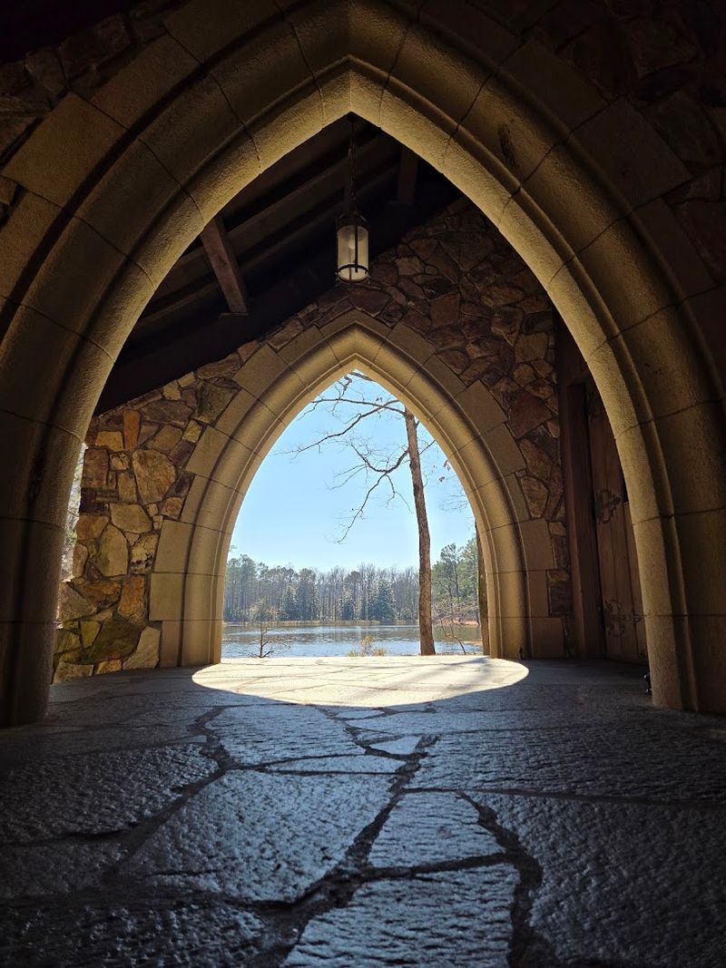 Weekend Organ Concerts Open to Visitors