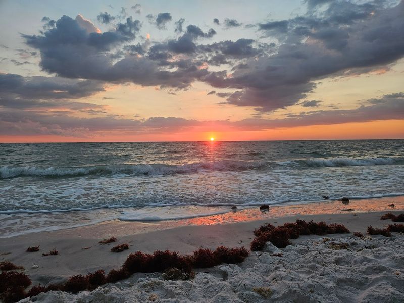 12 Secluded Beach Destinations In Florida That Feel Peaceful And Uncrowded - Decor Hint Barefoot Beach Preserve