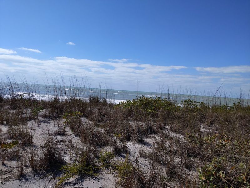 Don Pedro Island