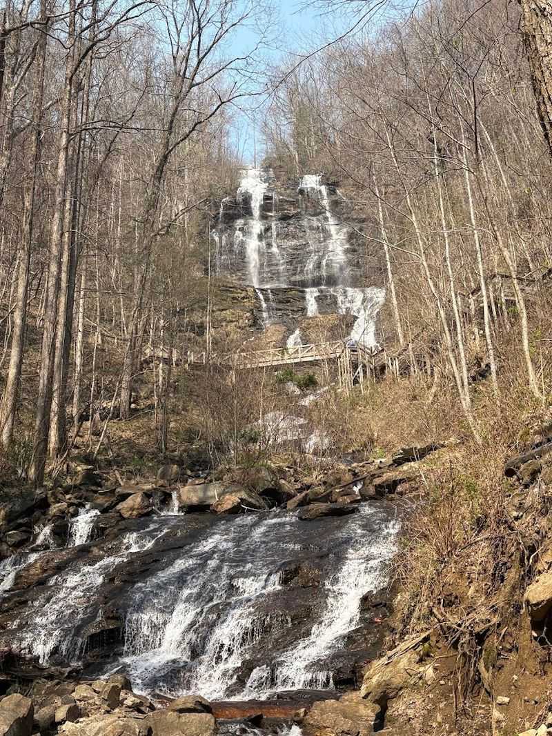 Amicalola Falls Approach Trail Base Loop