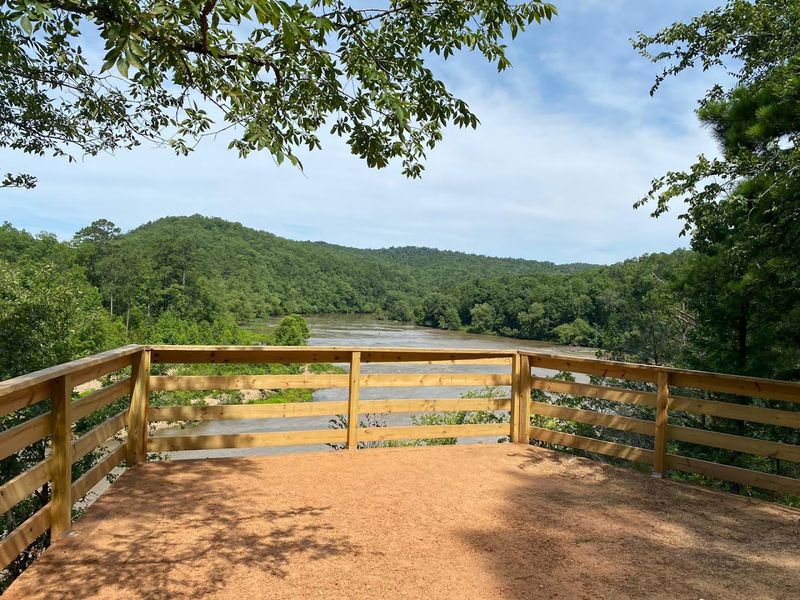 Wildlife Viewing Beyond the Expected