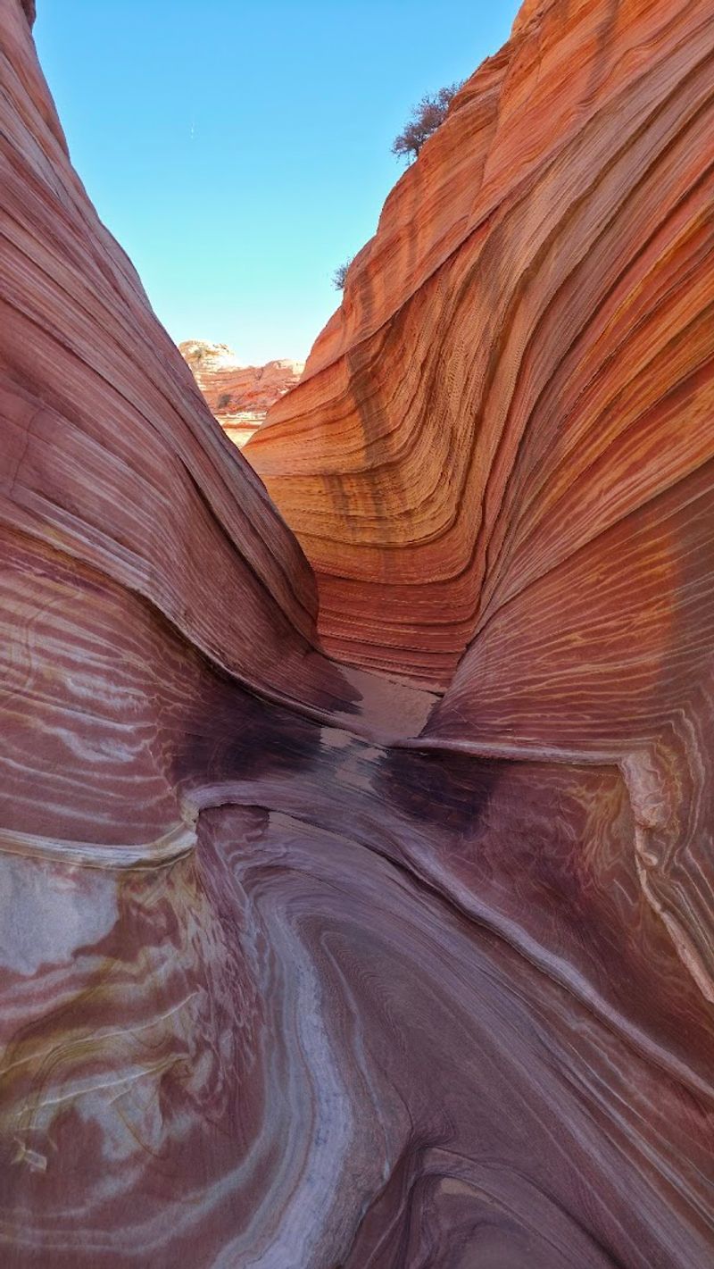 14 Arizona Natural Wonders That Look Like They Are From Another Planet - Decor Hint The Wave, Vermilion Cliffs National Monument