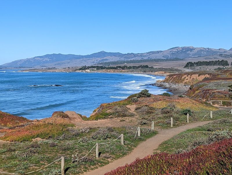 This Spring Is The Perfect Time To See Some Of The Most Beautiful California State Parks - Decor Hint Hearst San Simeon State Park