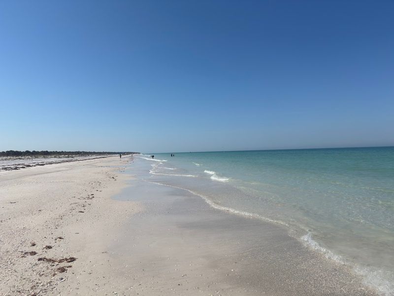 These 10 Tranquil Florida Spots Are Still Under The Radar - Decor Hint Caladesi Island State Park, Dunedin