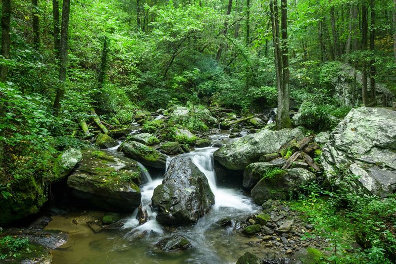 Helen and Unicoi State Park