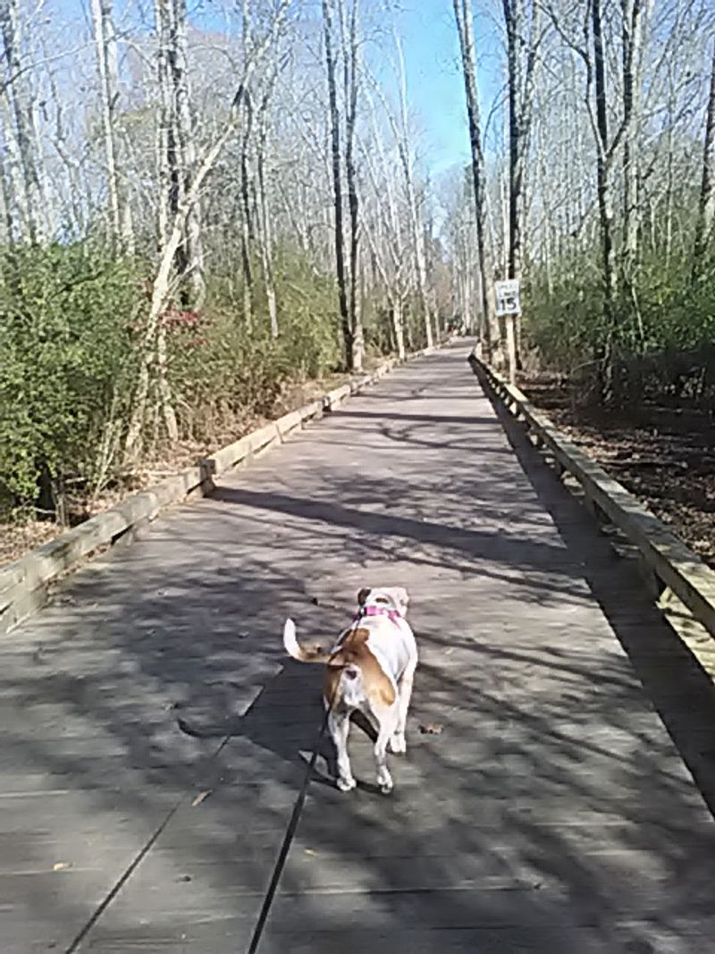 Big Creek Greenway