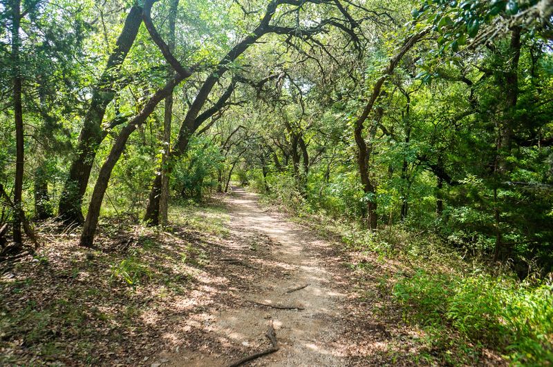 Creekside & Marsh Loop Trails