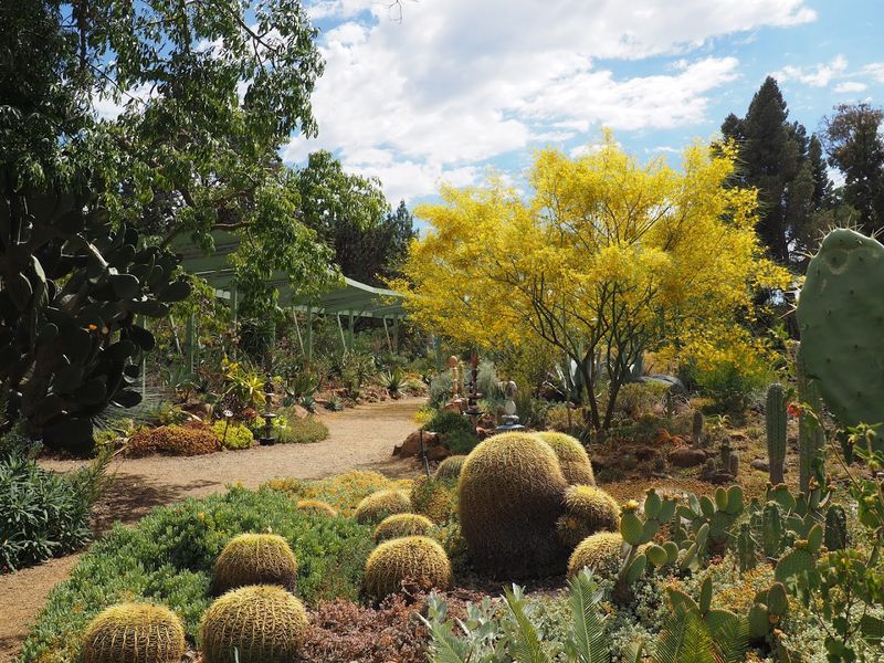 Ruth Bancroft Garden and Nursery, Walnut Creek