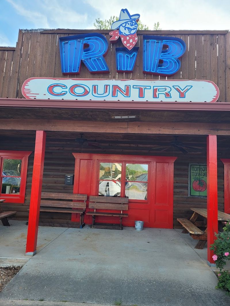 The Scenic Drive Through North Georgia Mountains