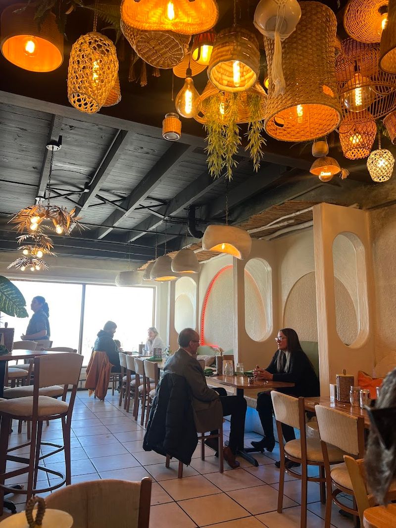 Palmeira Tropical Fusion