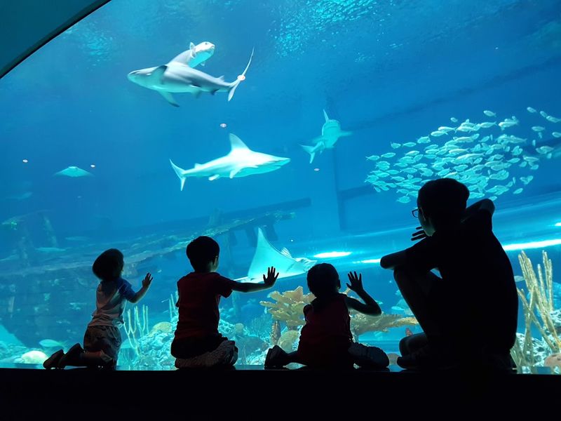 Corpus Christi, Texas: Texas State Aquarium