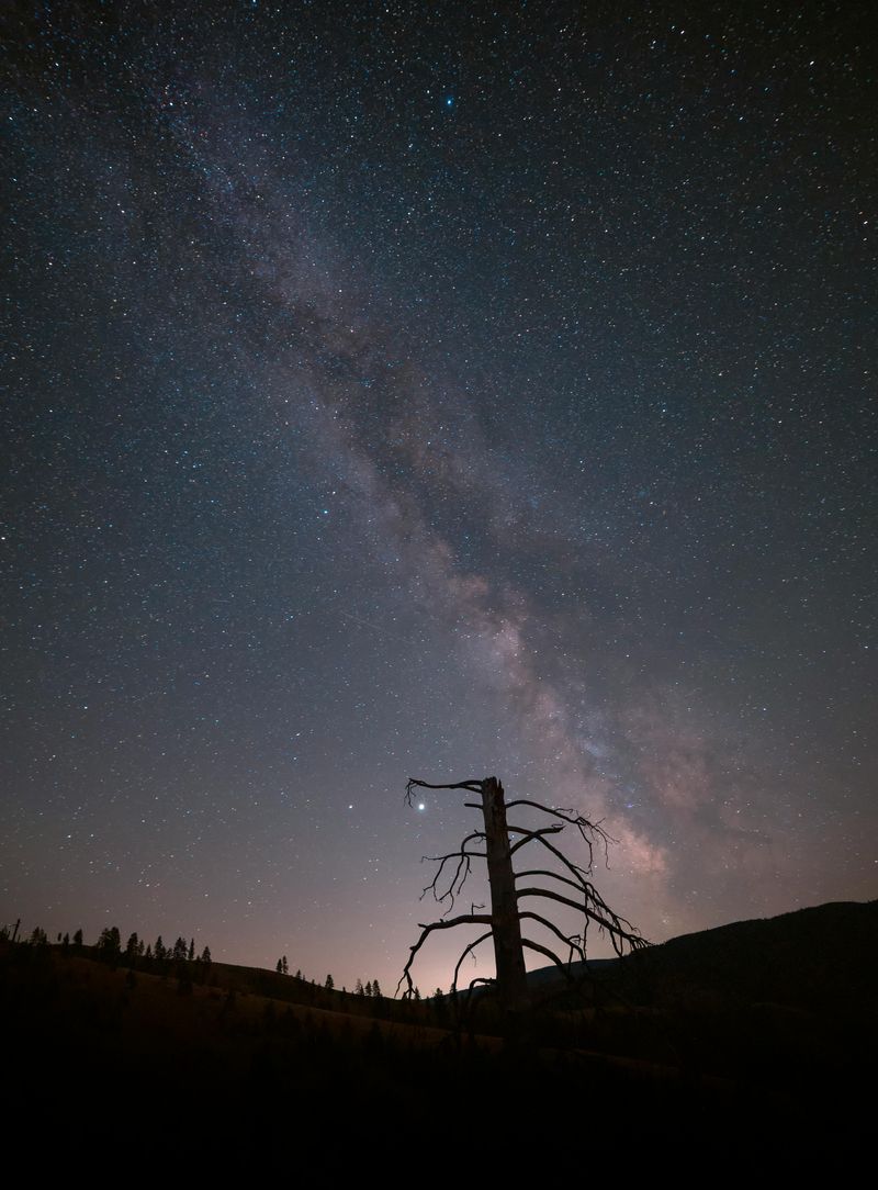 Starlit Nights Undimmed By Light Pollution