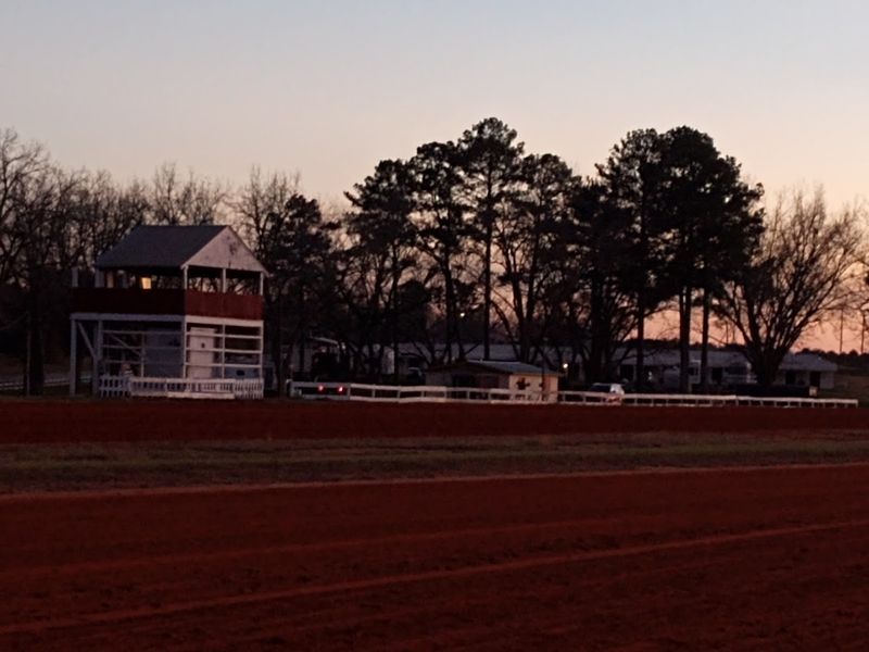 Hawkinsville as the Harness Horse Capital of Georgia