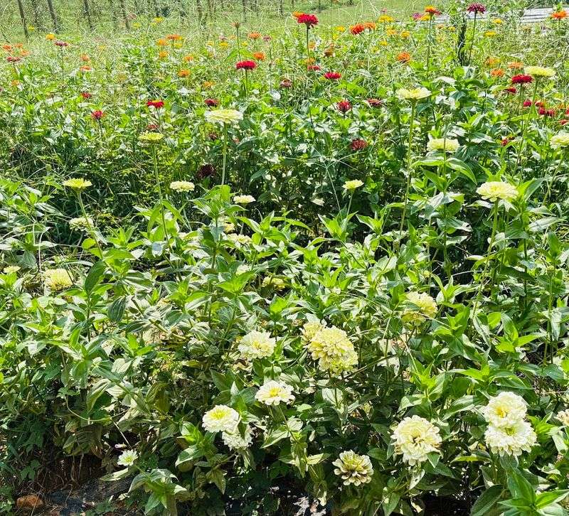 The Scenery Makes Everyday Stress Feel Smaller