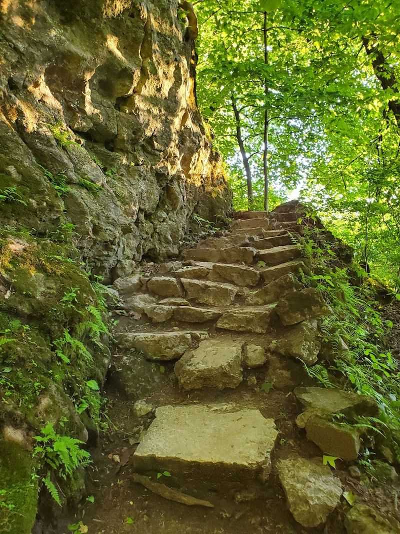 Palisades-Kepler State Park Overlook