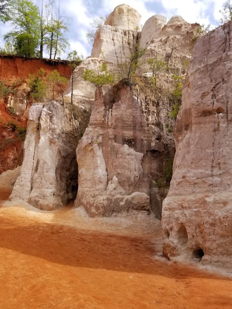 Educational Programs That Bring the Science to Life