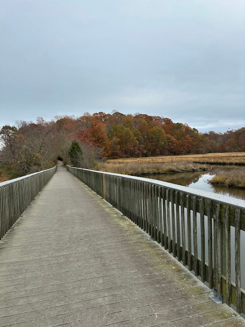 Chesapeake Beach Railway Trail Trailhead