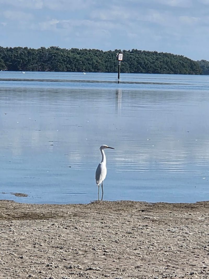 Shell Key Preserve, Tierra Verde