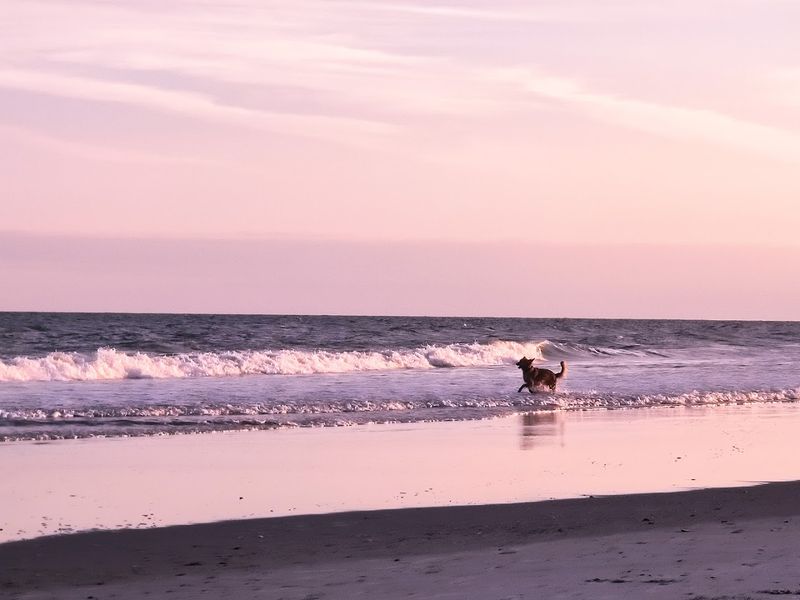 Seasonal Visit Timing