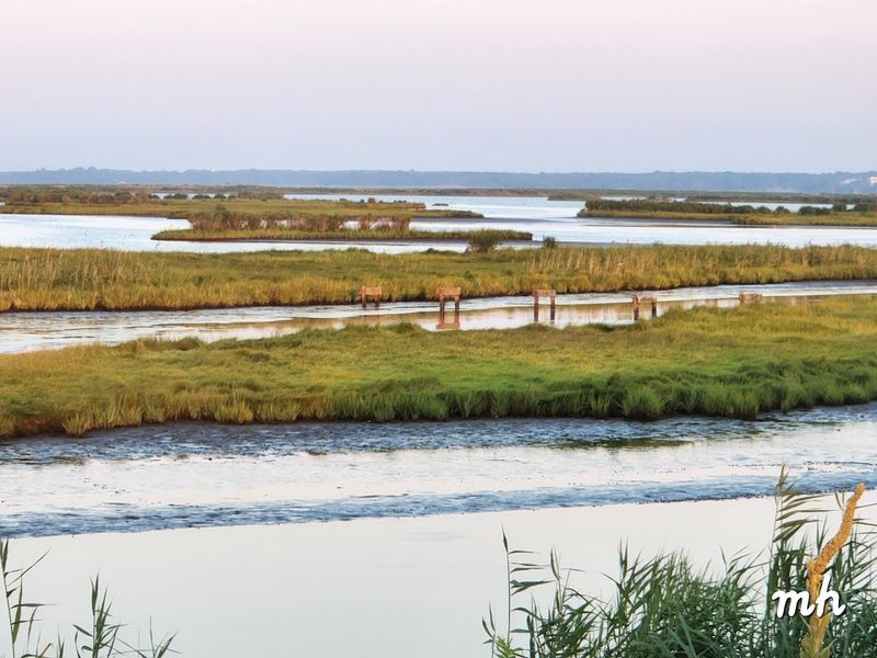 Edwin B. Forsythe National Wildlife Refuge