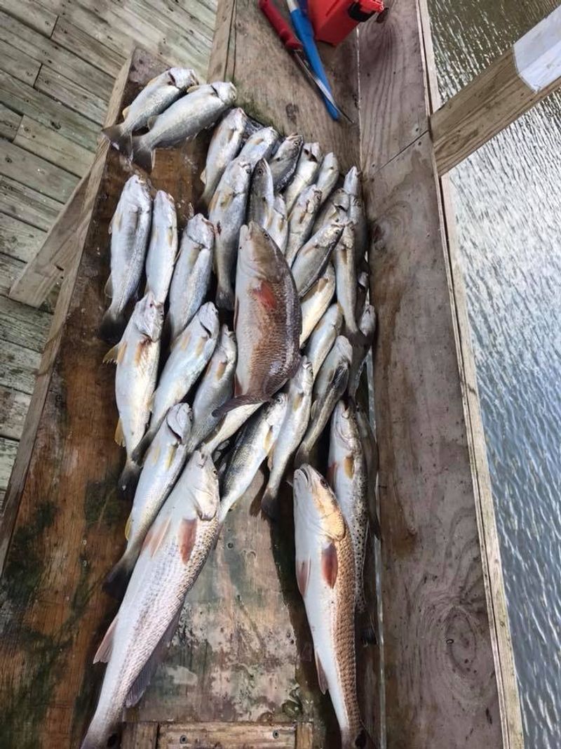 Panacea Fish Camps, Panacea, Wakulla County