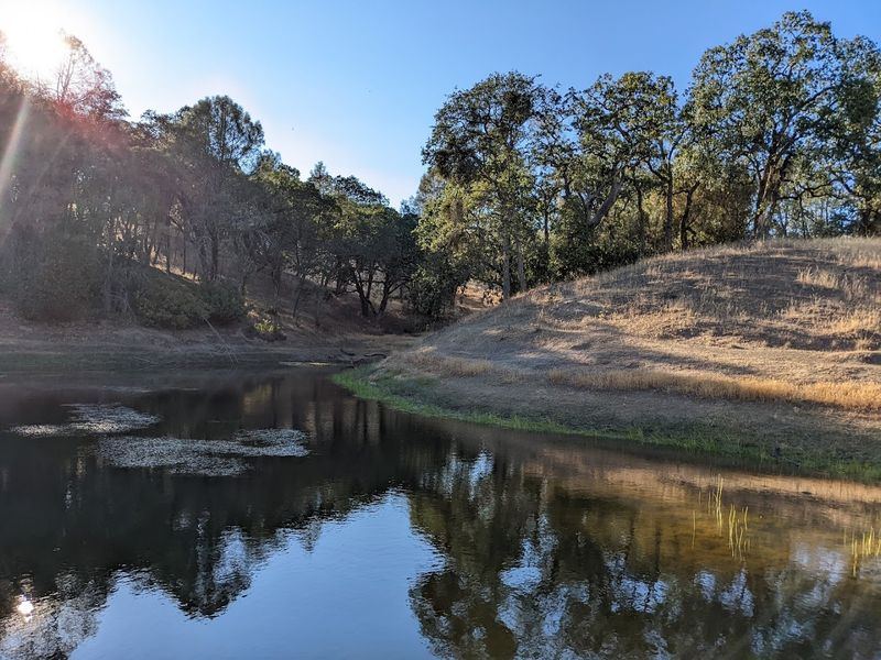 Frog Lake / Middle Ridge Area, Henry W. Coe State Park, Morgan Hill