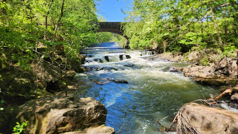 Mountain Biking Loops That Surprise Even Experienced Riders