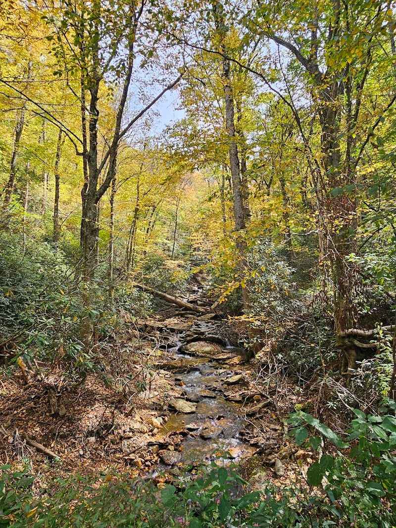 After Hurricane Helene