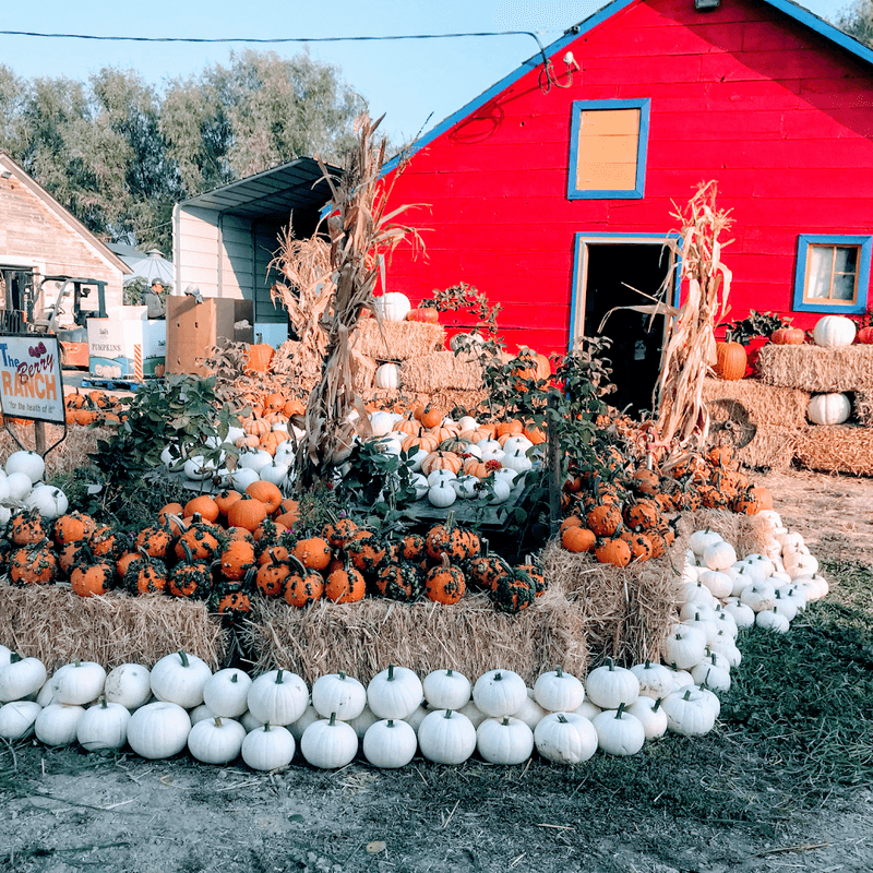 Making The Most Of Your Visit