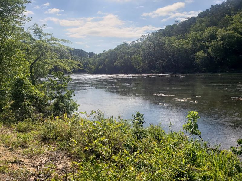 Fishing the Flint River for Bass, Catfish, and More