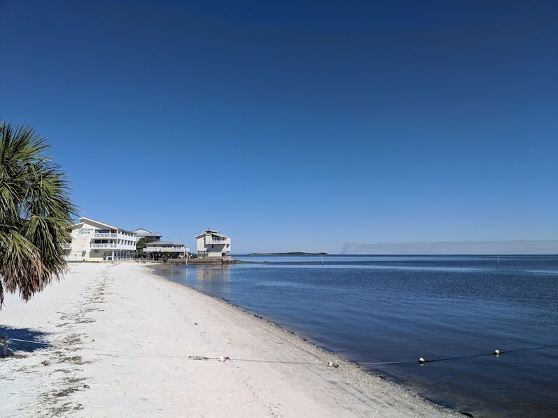 Why You Should Go Before Everyone Else Does