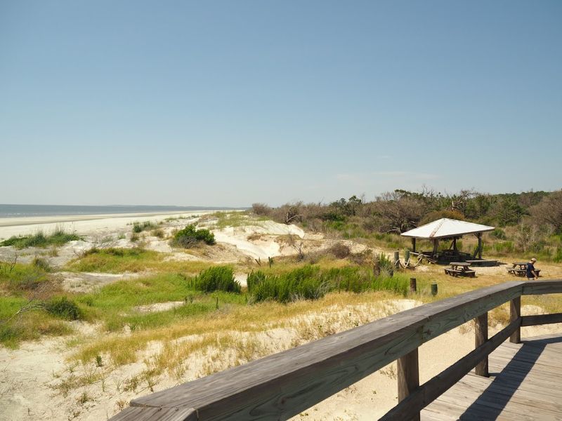 Educational Tours That Bring the Island to Life