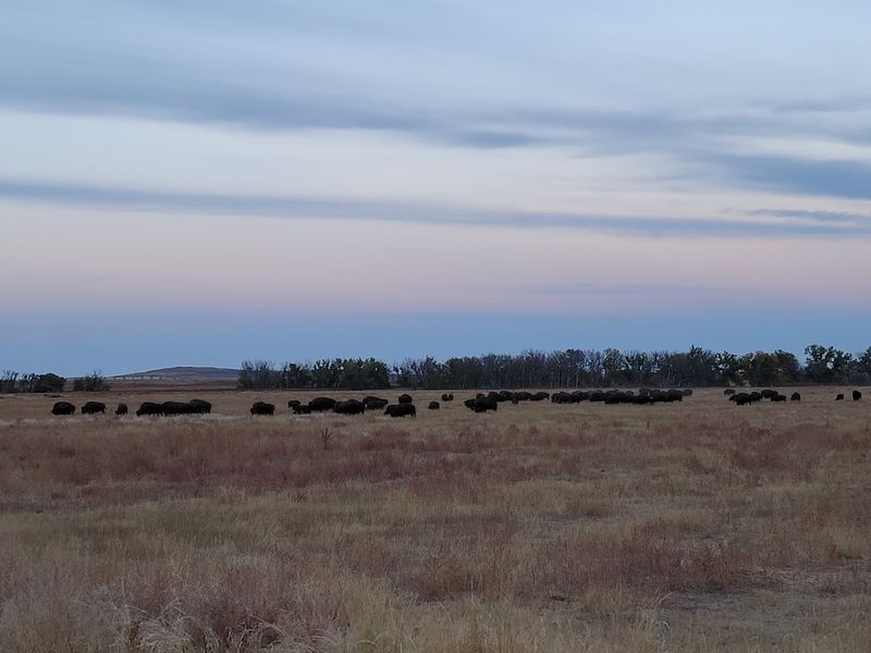 Rocky Mountain Arsenal National Wildlife Refuge