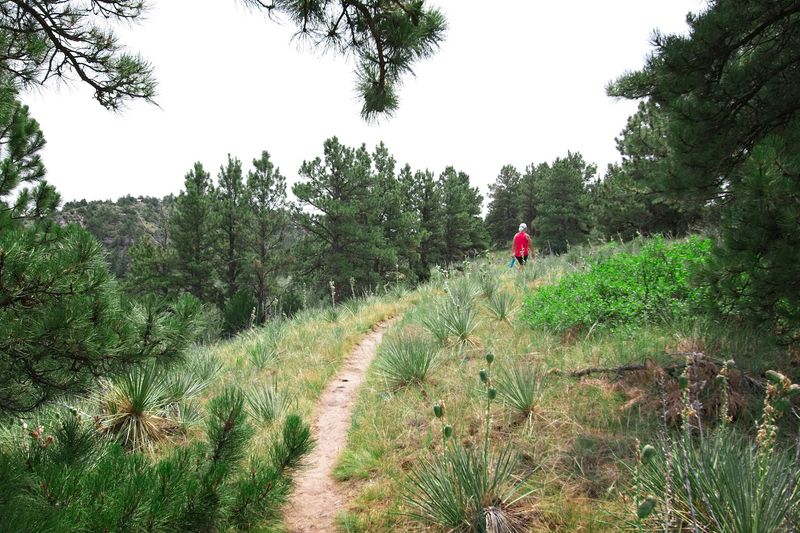 Turkey Run Trail At Wildcat Hills State Recreation Area