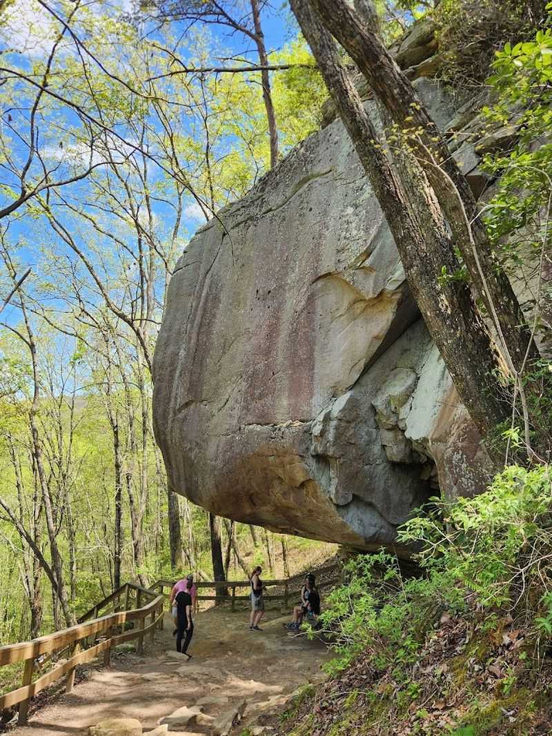 Cloudland Canyon State Park