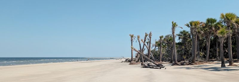 Wassaw Island National Wildlife Refuge Beach