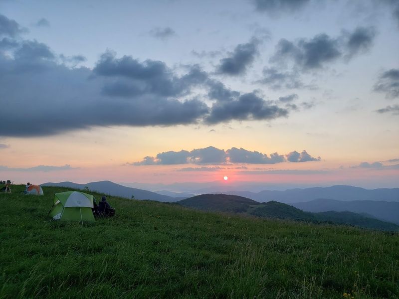 Max Patch