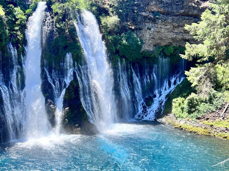 Seasonal Timing And 2026 Crowds