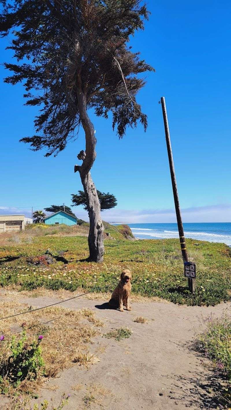 Coastside Trail, Half Moon Bay State Beach, Half Moon Bay
