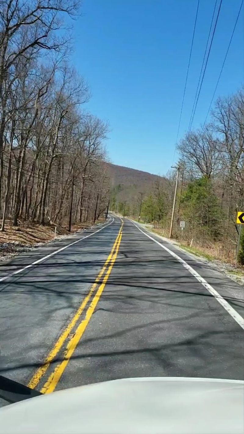 Mount Holly Springs