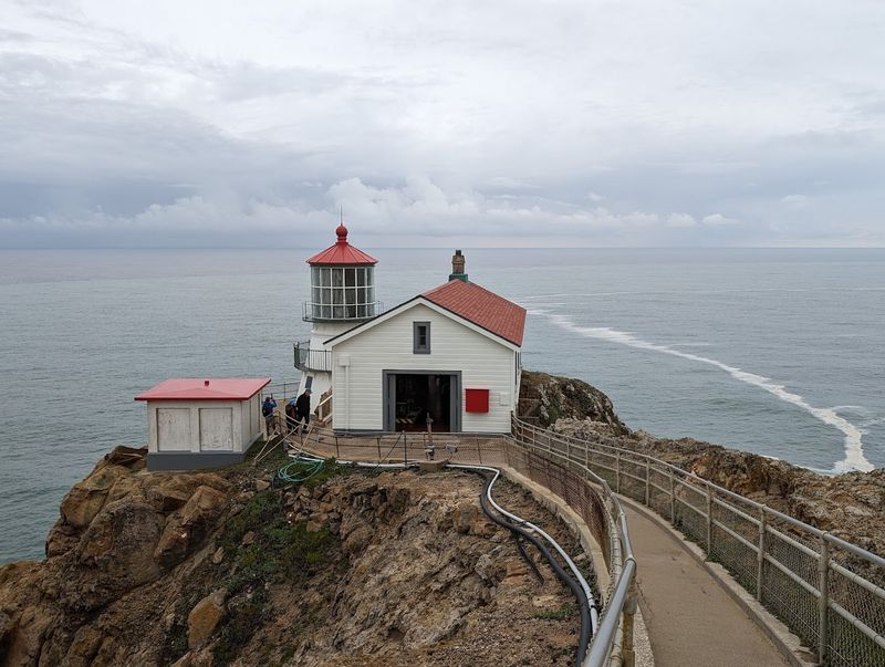 Cross Marin Trail, Point Reyes National Seashore