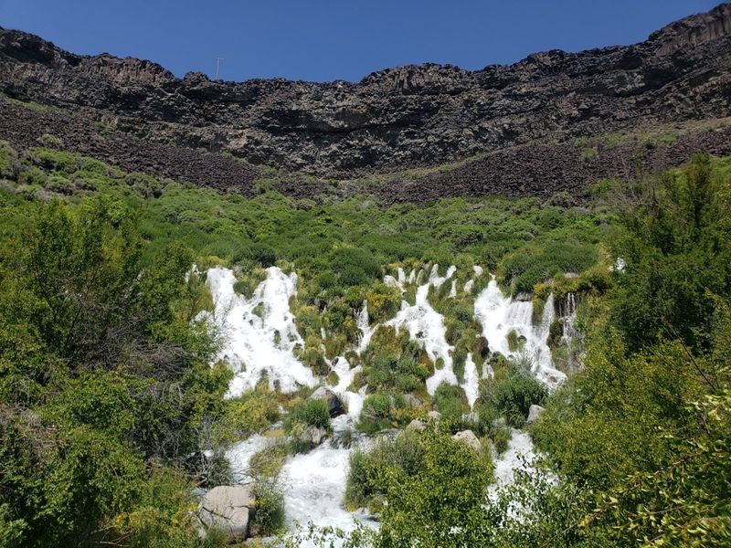 Niagara Springs State Park 