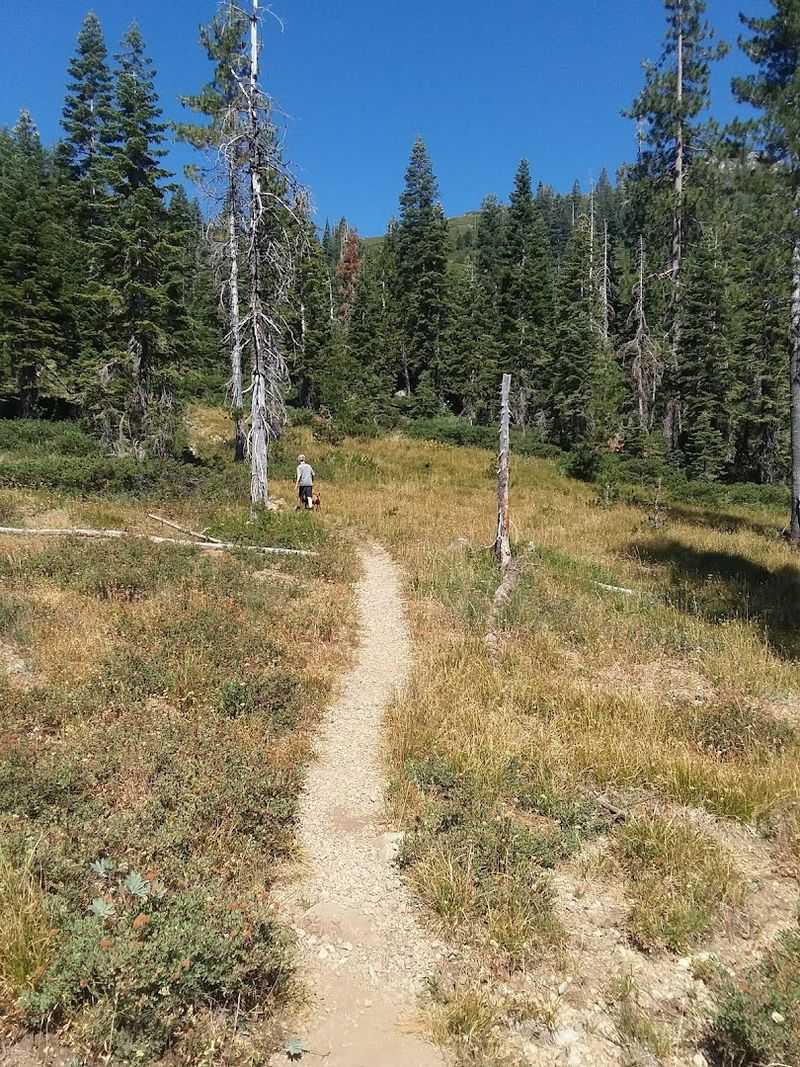 Castle Lake to Heart Lake, Mount Shasta Area