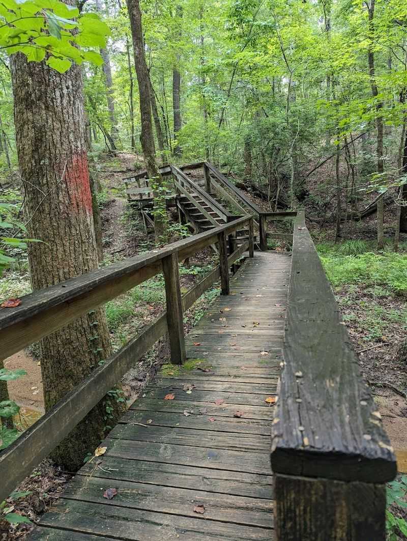 Beaverpond Nature Trail and Its Surprisingly Calm Wetlands