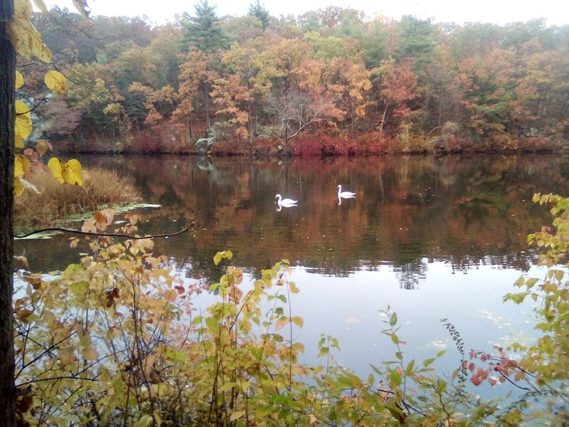 Manville