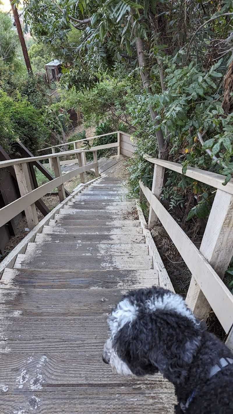 A Genuine Full-Body Workout