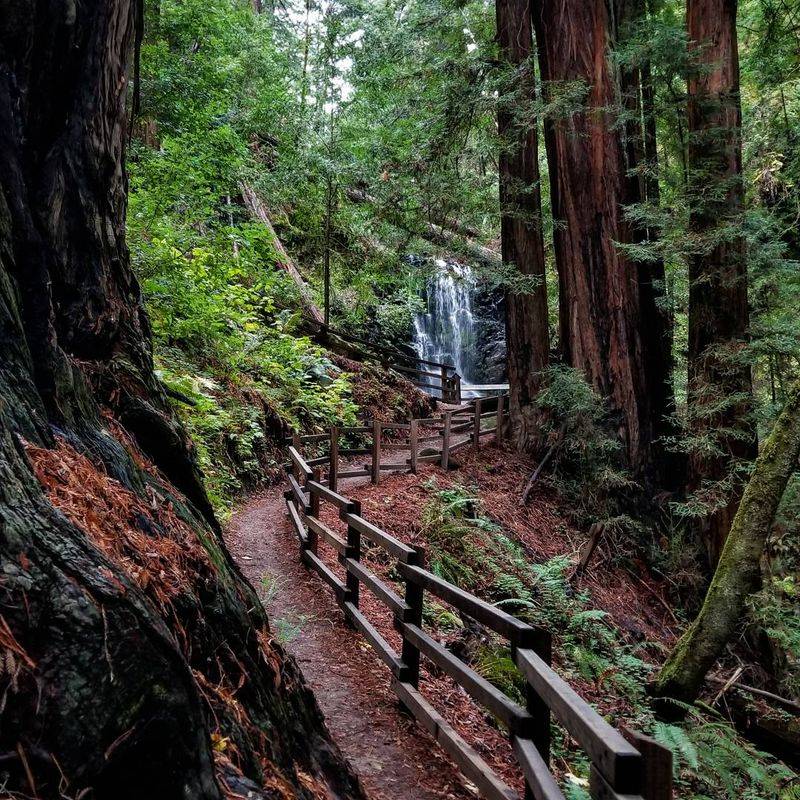 14 Breathtaking Waterfalls In California That Will Leave You Speechless This Spring - Decor Hint Berry Creek Falls, Boulder Creek