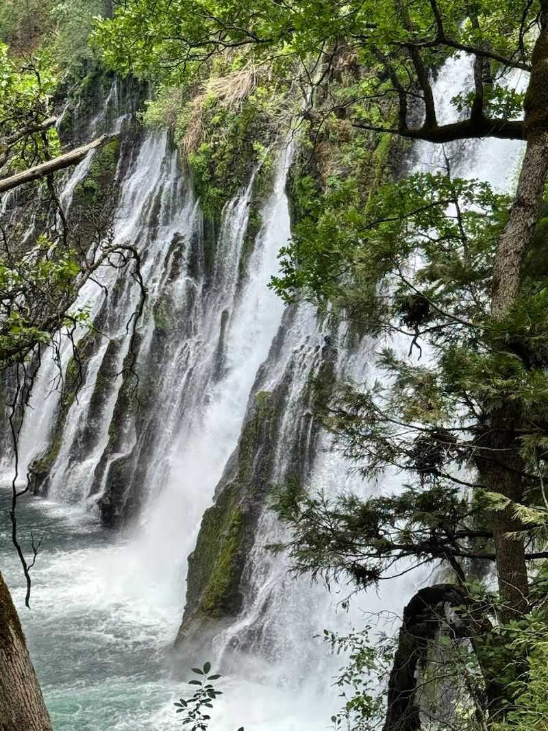 Spring Fed Magic Explained